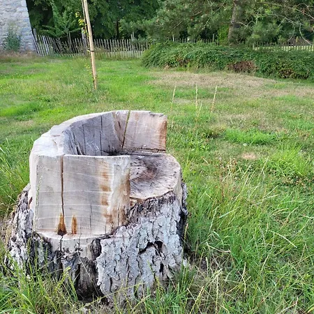 Appartement A La Salle De Jeux Et Son Jardin Autour De La Verte Dinant